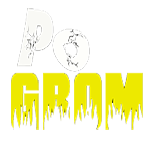 PoGrom 